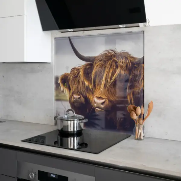 Highland Cow Splashback – 6mm Toughened Printed Glass