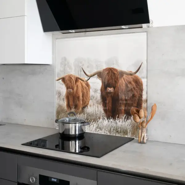 6mm Toughened Glass Splashback with Printed Design – Two Highland Cows in the Snow 697